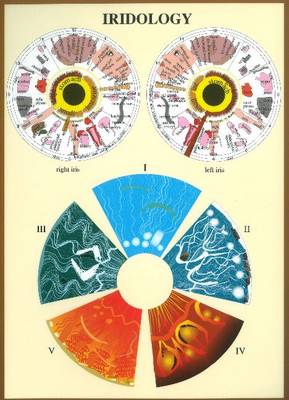 Iridology -- A4 (Poster)
