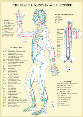 Special Points in Acupunture -- A4 (Poster)