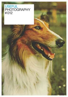 Useful Photography 12 (Paperback)