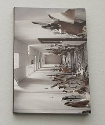 Els Vanden Meersch. Implants (Paperback)