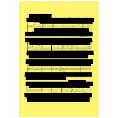 Olaf Nicolai - Innere Stimme (Paperback)