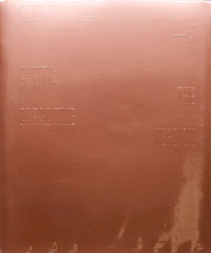 Gert-Jan Prins: Cavity: LP
