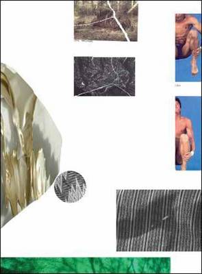 Vormat: A Concise Account of Connections Through Form and Material (Paperback)