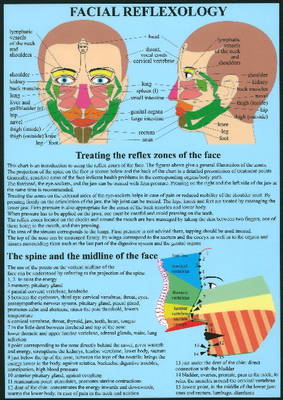 Facial Reflexology -- A4 (Poster)