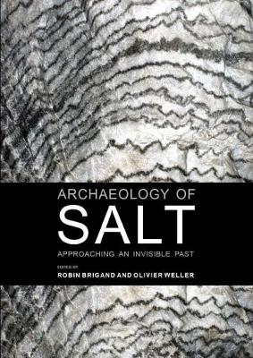 Archaeology of Salt (Paperback)