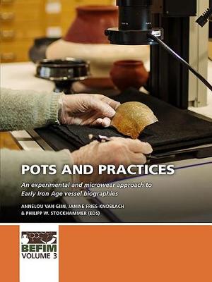 Pots and practices: An experimental and microwear approach to Early Iron Age vessel biographies - BEFIM 3 (Hardback)