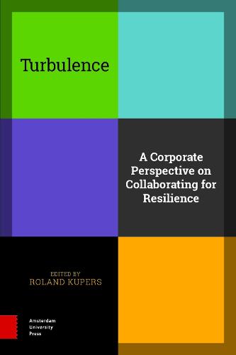 Turbulence: A Corporate Perspective on Collaborating for Resilience (Hardback)