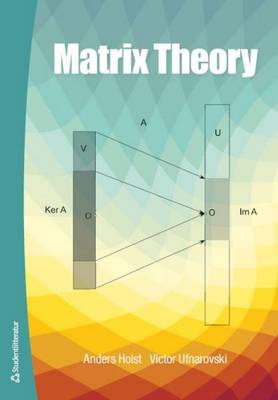 Matrix Theory (Paperback)