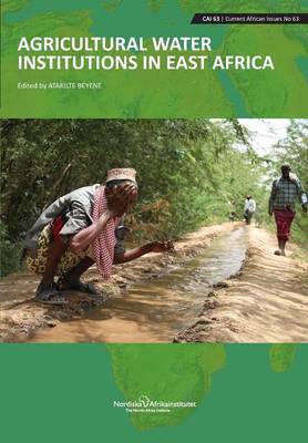 Agricultural Water Institutions in East Africa (Paperback)