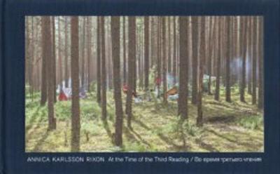 Annica Karlsson Rixon - at the Time of the Third Reading (Hardback)