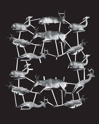 Handplockat - Pa Utflykter I Bildarkivet (Paperback)