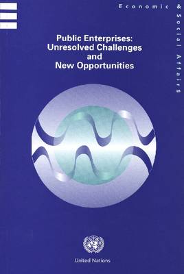 Public Enterprises: Unresolved Challenges and New Opportunities (Paperback)