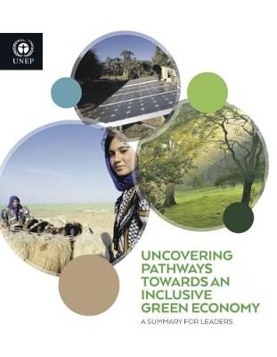 Cover The financial system we need: aligning the financial system with sustainable development, the UNEP inquiry report