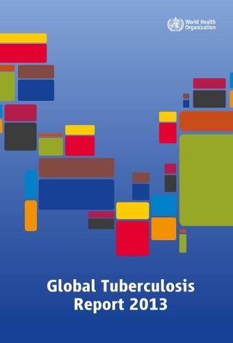 Global tuberculosis report 2013 (Paperback)