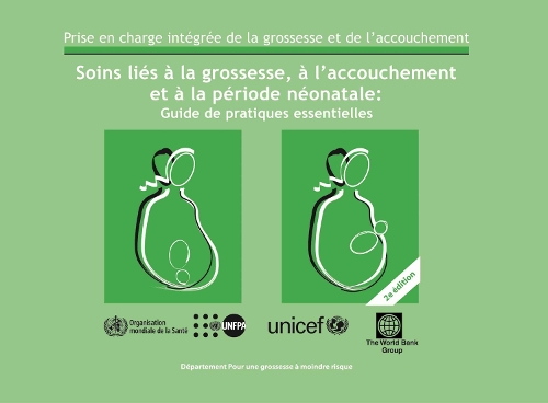 Soins Li s La Grossesse, l'Accouchement Et La P riode N onatale: Guide de Pratiques Essentielles. (Paperback)