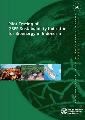 Pilot testing of GBEP sustainability indicators for bioenergy in Indonesia - Environment and natural resources management series 60 (Paperback)