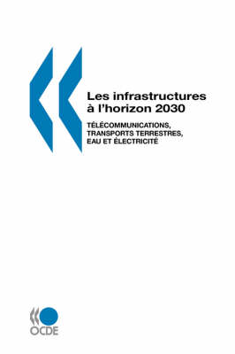 Les Infrastructures a L'horizon 2030: Telecommunications, Transports Terrestres, Eau Et Electricite (Paperback)