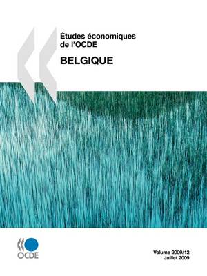 Etudes Economiques De L'OCDE: Belgique 2009 (Paperback)