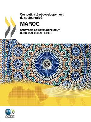 Comp Titivit Et D Veloppement Du Secteur Priv: Maroc 2010: Strat Gie de D Veloppement Du Climat Des Affaires (Paperback)
