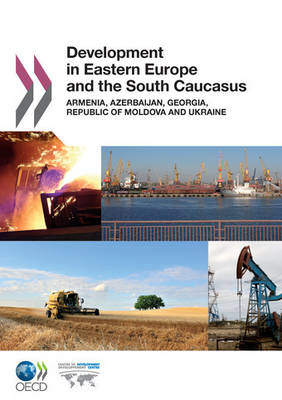 Development in Eastern Europe and the South Caucasus: Armenia, Azerbaijan, Georgia, Republic of Moldova and Ukraine (Paperback)