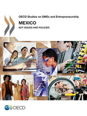 Mexico: key issues and policies - OECD studies on SMEs and entrepreneurship (Paperback)