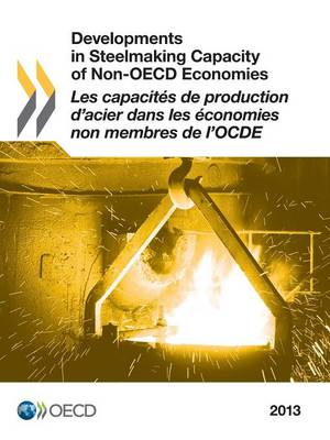 Developments in steelmaking capacity of non-OECD economies 2013 (Paperback)