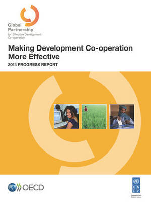 Making development co-operation more effective: 2014 progress report (Paperback)