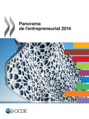 Panorama de L'Entrepreneuriat 2014 (Paperback)