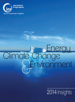 Energy, climate change & environment: 2014 insights (Paperback)