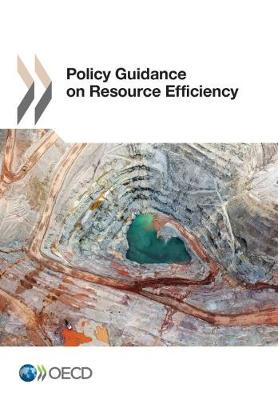 Policy Guidance on Resource Efficiency (Paperback)