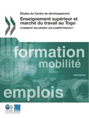Etudes Du Centre de Developpement Enseignement Superieur Et Marche Du Travail Au Togo: Comment Valoriser Les Competences ? (Paperback)