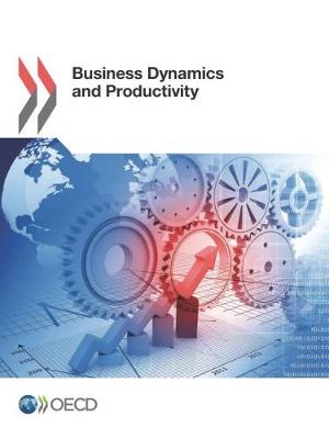 Business dynamics and productivity (Paperback)