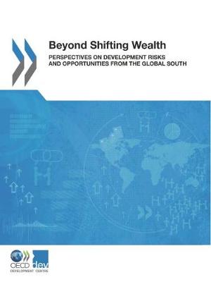 Beyond shifting wealth: perspectives on development risks and opportunities from global south (Paperback)