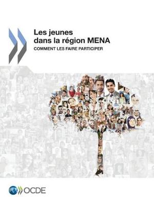 Les Jeunes Dans La Region Mena: Comment Les Faire Participer (Paperback)