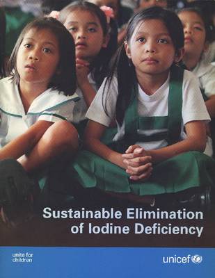 Sustainable Elimination of Iodine Deficiency: Progress Since the 1990 World Summit for Children (Paperback)