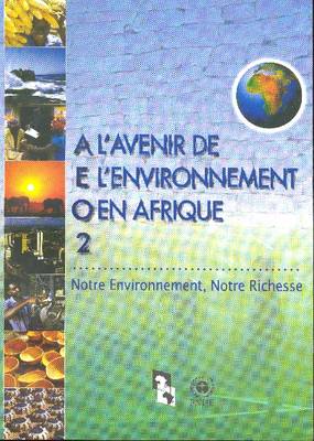L Avenir de L Environnement En Afrique 2: Notre Environnement Notre Richesse (Paperback)