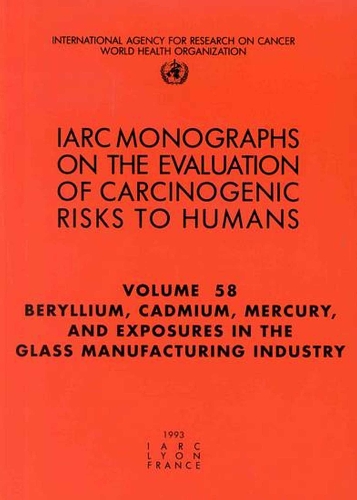 Beryllium, Cadmium, Mercury, and exposures in the glass manufacturing industry: IARC Monographs on the Evaluation of Carcinogenic Risks to Humans - IARC Monographs v. 58 (Paperback)
