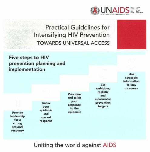 Practical Guidelines for Intensifying HIV Prevention: Five Steps to HIV Prevention Planning and Implementation: Towards Universal Access (Paperback)