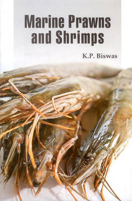 Marine Prawns and Shrimps (Hardback)