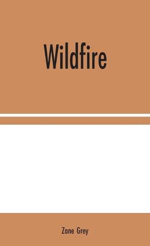 Wildfire (Hardback)