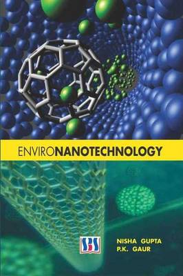 Environanotechnology (Hardback)