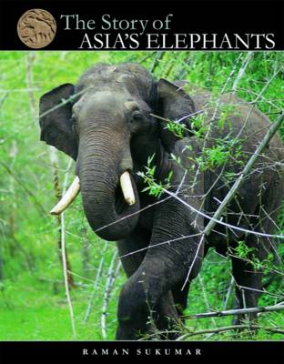 The Story of Asia's Elephants (Hardback)