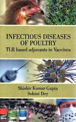 Infectious Diseases of Poultry: Tlr Based Adjuvents in Vaccines (Hardback)