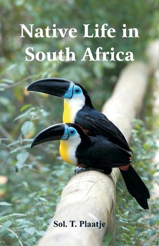 Native Life in South Africa (Paperback)