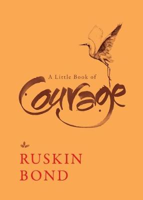 A Little Book of Courage (Paperback)