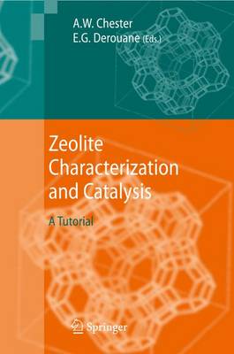 Zeolite Characterization and Catalysis: A Tutorial (Paperback)