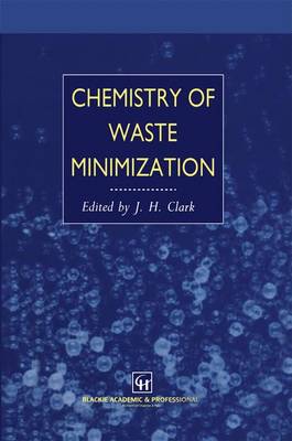 Chemistry of Waste Minimization (Paperback)