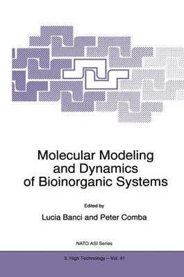 Molecular Modeling and Dynamics of Bioinorganic Systems - NATO Science Partnership Subseries: 3 41 (Paperback)
