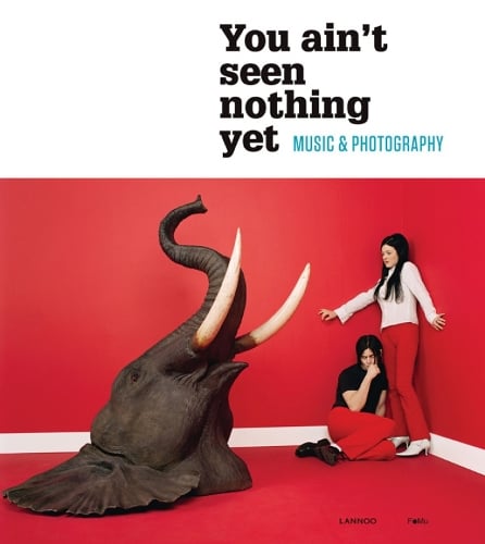You Aint Seen Nothing Yet: Music and Photography (Paperback)