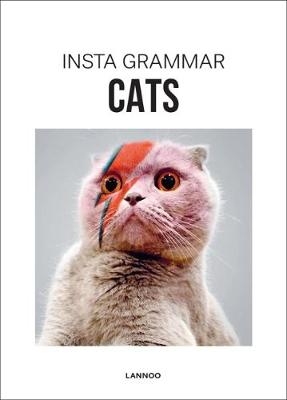 Insta Grammar: Cats (Hardback)